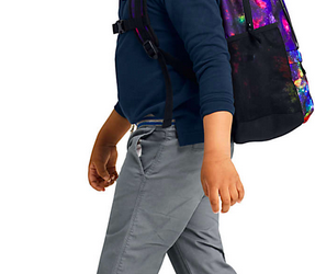 *SUPER HOT* Lands’ Finish Backpacks solely $19.97 shipped!