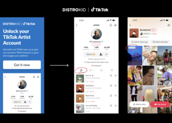 TikTok to ‘quick observe’ official artist account creation for DistroKid members