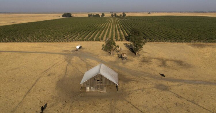 Silicon Valley billionaires put plans for brand new California metropolis on maintain