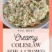 Creamy Coleslaw Recipe for a Crowd