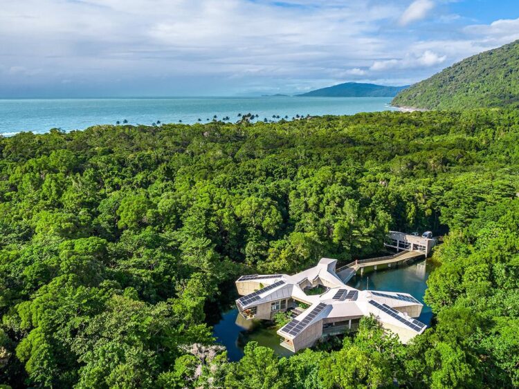 Bizarre UFO home in rainforest up for grabs