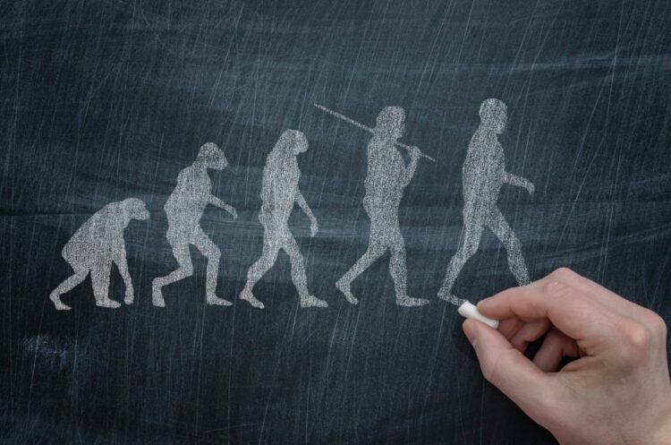 From Darwin to Wall Road: Harnessing Evolutionary Idea for Smarter Investments