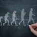 From Darwin to Wall Road: Harnessing Evolutionary Idea for Smarter Investments