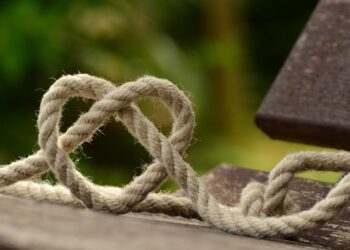 Creating Connections To Save Cash and Get Higher Service