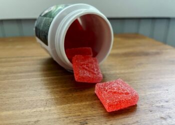 Alternatives within the Evolving Hashish Consumption Market