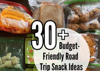 30+ Finest Highway Journey Snacks on a Funds
