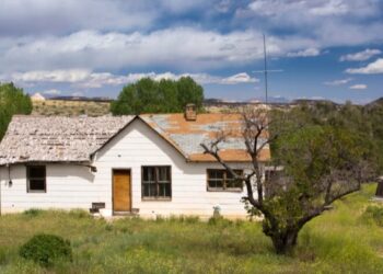 The Finest and Worst Locations to Make investments Primarily based on Insurance coverage Declare Information