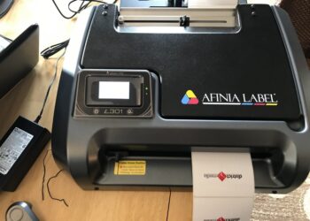 DINKs Evaluate the Afinia L301