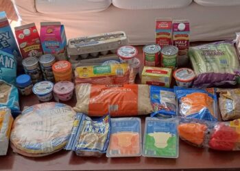 Brigette’s $120.47 Grocery Purchasing Journey and Weekly Menu Plan for five