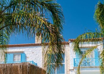 What Type of Insurance coverage Do You Want for Brief-Time period Leases?