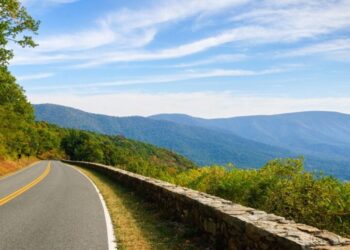 5 12 months-Spherical Markets The place Quick-Time period Buyers Can Rake In Money