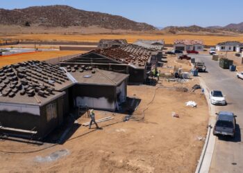 Homebuilder deal exercise is surging, fueled by main Japanese patrons