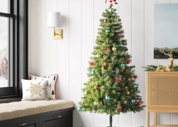 Save 50% off Christmas Bushes at Goal: Wondershop Pre-lit Alberta Spruce 6.5ft. Tree solely $27.50 (Reg. $50!), plus extra!