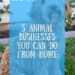5 Animal Companies You Can Do From Residence