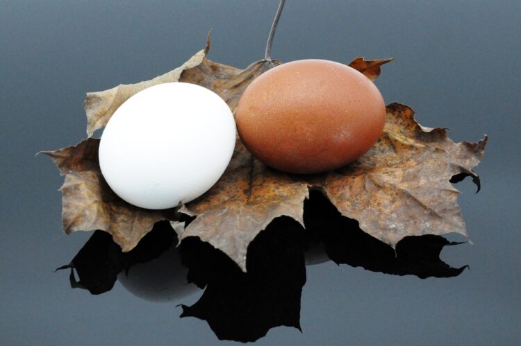 A Web Price Equal To 25X Bills Is Not Sufficient To Retire Early