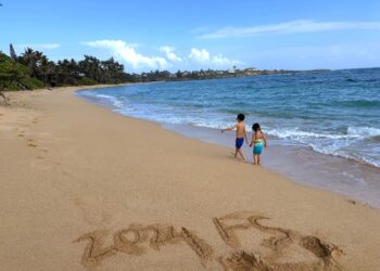 2024 Yr In Evaluate: A Yr Of Transition And Luck