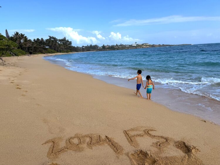 2024 Yr In Evaluate: A Yr Of Transition And Luck