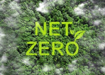 Navigating Web-Zero Investing Benchmarks, Incentives, and Time Horizons