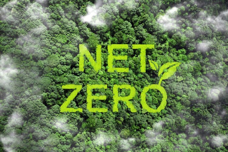 Navigating Web-Zero Investing Benchmarks, Incentives, and Time Horizons