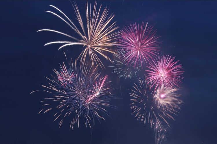 Analysis and Coverage Middle High 10 Articles from 2024