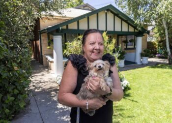 5 charities to learn from public sale of household house at 26 Leane Ave, Allenby Gardens