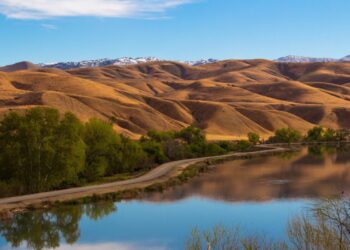 Fresno vs Bakersfield: Which Metropolis is Proper for You?