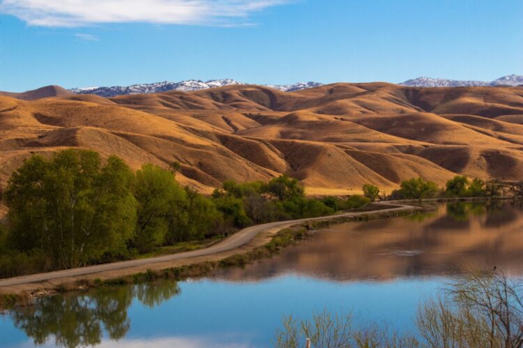 Fresno vs Bakersfield: Which Metropolis is Proper for You?