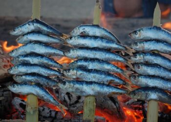 Received Downgraded To Financial system Class And It Felt Improbable