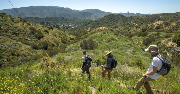 Battle over luxurious Verdugo Mountains improvement spills into court docket