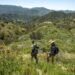 Battle over luxurious Verdugo Mountains improvement spills into court docket