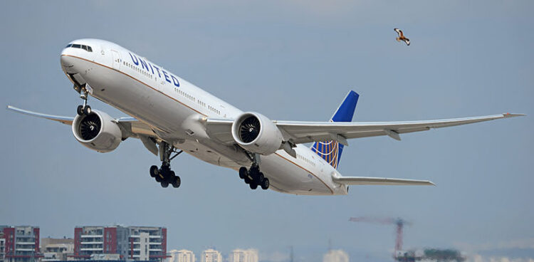 United Airways seen resuming Israel flights in February
