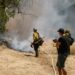 Is It Attainable to Defend Your Property From Wildfires? Right here Are Measures You Can Take