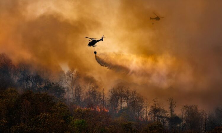 Fairfax Monetary tasks as a lot as $750 million in loss from Los Angeles wildfire