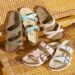 *RARE* Birkenstock Franca Slide Sandals solely $79.99 shipped, plus extra! {Prolonged}