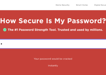 Interactive: How Safe Is My Password?
