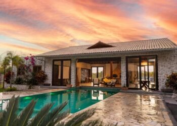 What You Have to Know