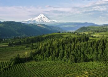 The ten Finest Locations to Stay in Oregon in 2025