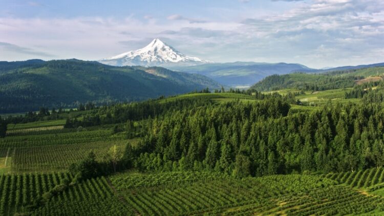 The ten Finest Locations to Stay in Oregon in 2025