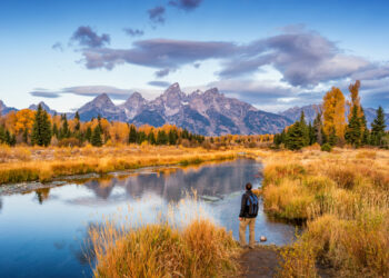 10 Execs and Cons of Residing in Wyoming