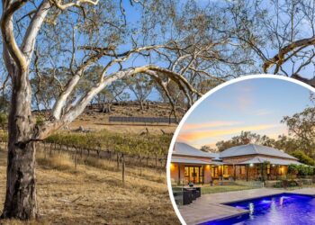 Like wine? Make your individual at this beautiful Gemmells property.