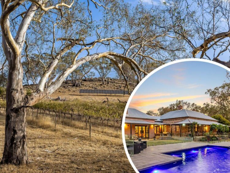 Like wine? Make your individual at this beautiful Gemmells property.