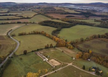 Alternatives for Traders in 2025 and Past