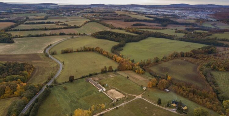 Alternatives for Traders in 2025 and Past