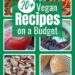 20+ Easy Vegan Recipes on a Price range! (Breakfast, Dinner, Dessert, and Snacks)