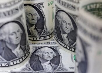 ‘Solely Indians who…’: Monetary advisor slams India’s ‘impure’ overseas capital mindset as financial self sabotage