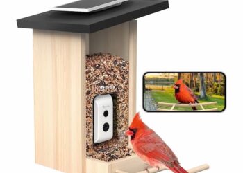 *HOT* Birdfy Sensible Fowl Feeder solely $99.79 shipped (Reg. $199!)