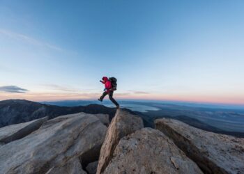 How Shoppers’ Funding Objectives Mirror Danger Conduct and Hidden Biases