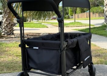 *HOT* Wonderfold W1 Authentic 2 Seater Stroller Wagon solely $169.99 shipped (Reg. $290!)