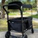 *HOT* Wonderfold W1 Authentic 2 Seater Stroller Wagon solely $169.99 shipped (Reg. $290!)