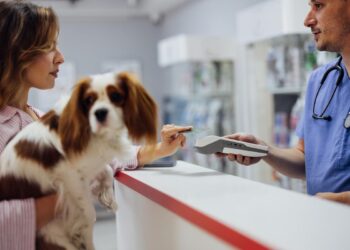 Pet insurance coverage that pays the vet instantly: How does it work?